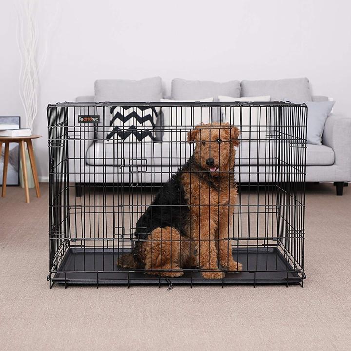 Image du produit Feandrea Doggo