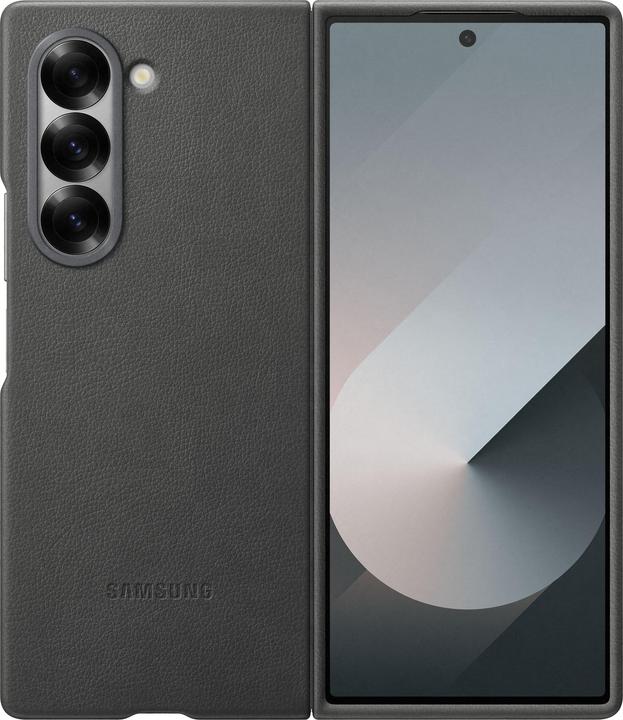 Samsung Cover (Samsung Galaxy Z Fold6)