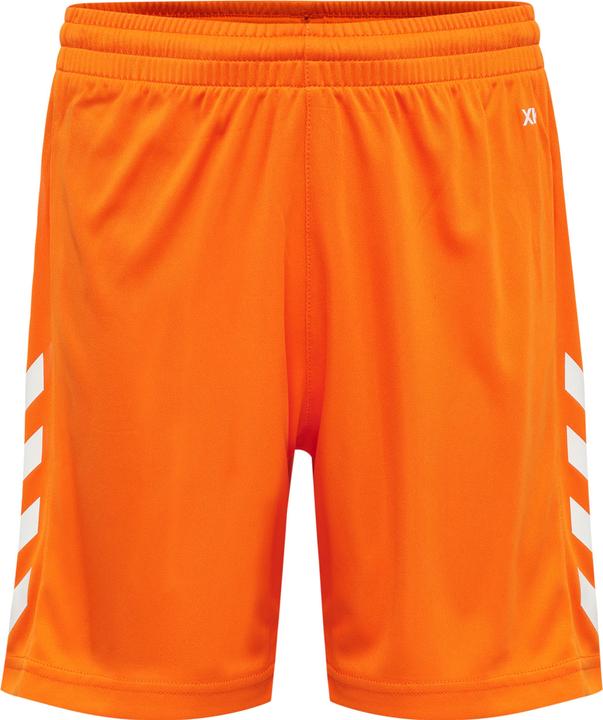 Orange tiger