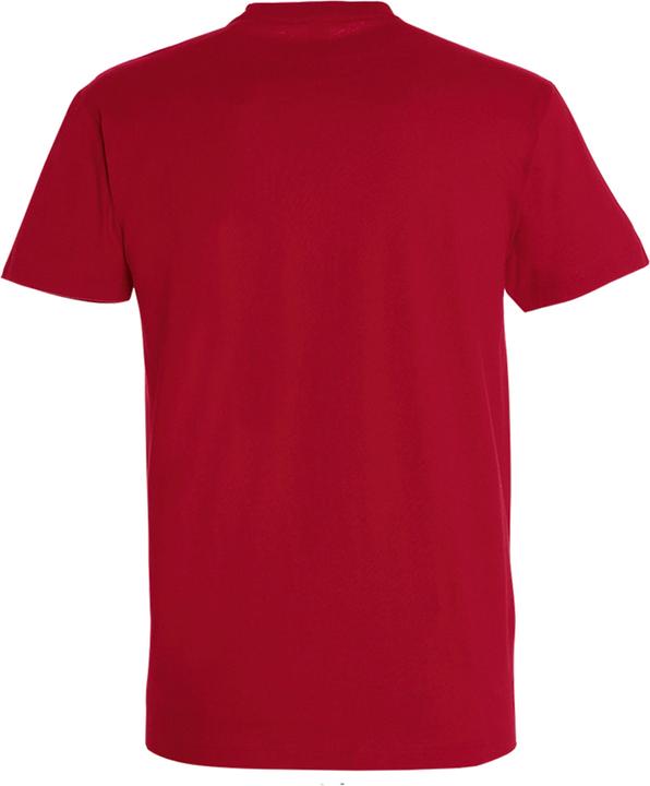 Immagine prodotto Sols UTPC290 P (XXL)