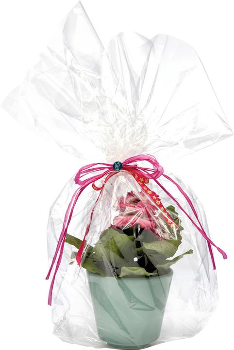 Immagine prodotto Folia Rotolo carta da regalo trasparente (Pellicola da regalo, 1 x)