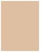 Actual product image Estée Lauder Pure Color Envy (Light Mat)