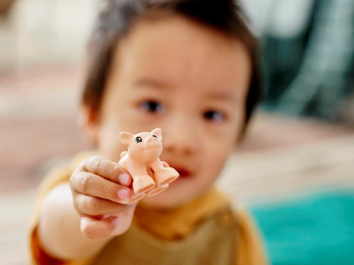 Actual product image LEGO Animal care on the farm (10949)