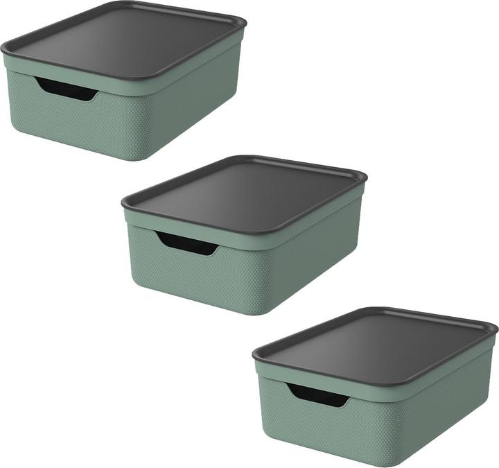 Immagine prodotto Rotho Jive (37,5 x 28 x 23,5 cm, 10 l)