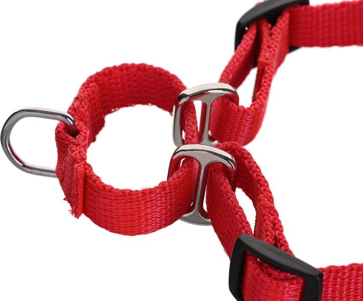 Immagine prodotto Red Dingo DINGO Easy Walk - Pettorina per cani - 42-64 cm (Cane, Generale)