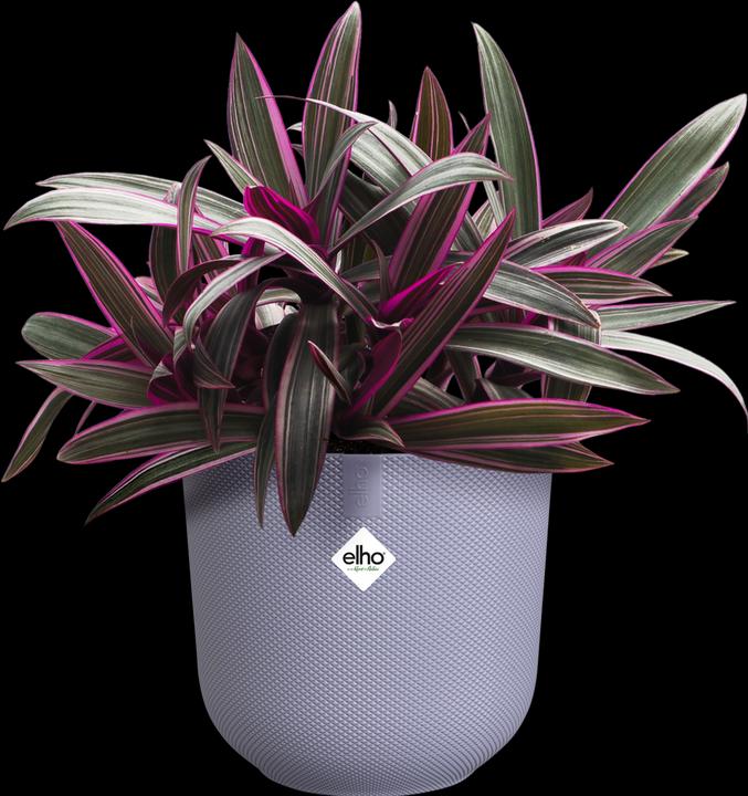 Actual product image Elho Jazz Round (18.90 cm)
