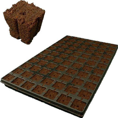 Actual product image HGA Eazy Plug 10 trays with 77 pieces each Ã 3.5 x 3.5cm box