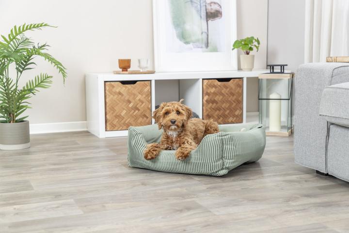 Produktbild Trixie Hunde-Bett Marley, 80 × 60 cm, Salbei (Hund)
