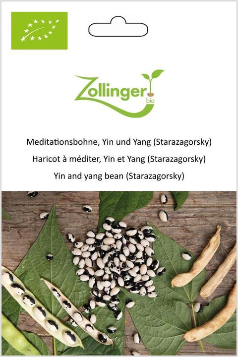 Actual product image Zollinger Bio Meditation Bean, Yin and Yang (Starazagorsky) (Plant seeds)