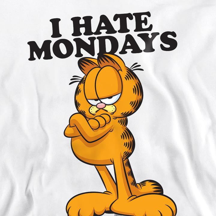 Produktbild Garfield I Hate Mondays Sweatshirt (L)