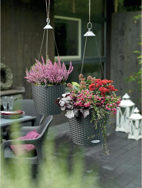 Actual product image Lechuza Nido Cottage (27 cm)