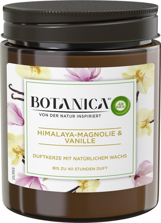 Actual product image Air Wick Scented candle Botanica Himalaya Magnolia & Vanilla 205 g (205 g)