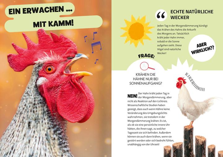 Produktbild National Geographic Die Mythenjäger. Keine Chance für Fake News und Lügenmärchen. Checke dein Wissen in unglaublichen (Deutsch, Silvia Mauri, Massimo Miato, Altea Villa, 2024)