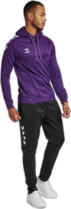 Image du produit hummel Core Xk Poly Sweat Hoodie (3XL)