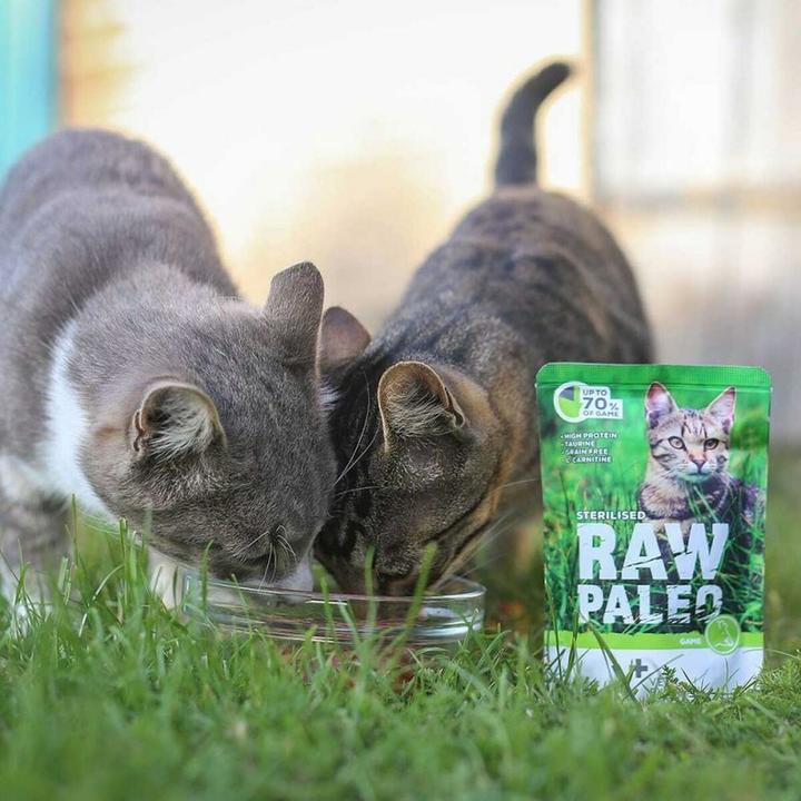 Actual product image Vetexpert Raw Paleo Sterilised Cat Game Pouch 100g (Adult, 1 pcs., 100 g)