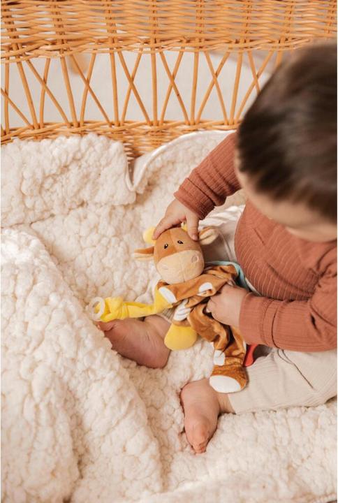 Immagine prodotto NICI Panno per le coccole