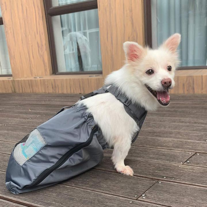 Immagine prodotto DerYEP Scooter per cani XS (XS, Cane, Gatto, Generale)