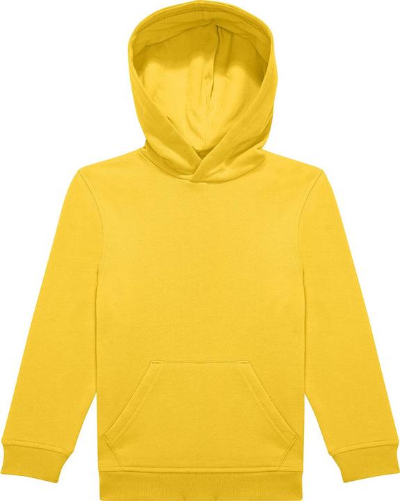 B&C ID.333 Kapuzenpullover