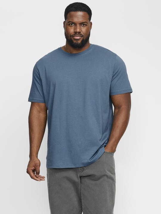 Actual product image Jack & Jones Jjeorganic Basic Tee Ss O-Neck Noos Pls (5XL)