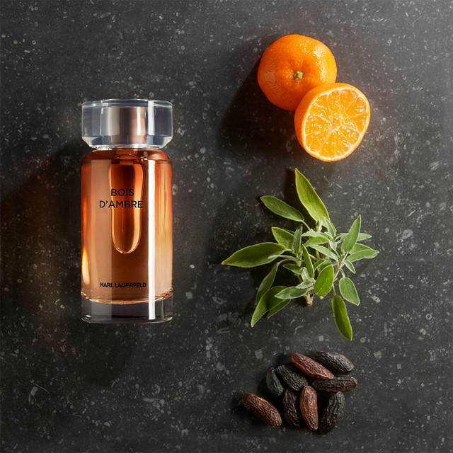 Image du produit Karl Lagerfeld Bois d'Ambre Eau de Toilette (Eau de toilette, 50 ml)