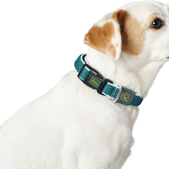 Image du produit Hunter Collier de chien Hilo Vario Basic (S, M, Chien, Général)