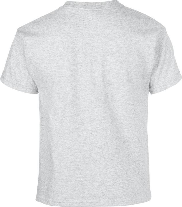 Actual product image Gildan Childrens/Kids Heavy Cotton T-Shirt (XL)