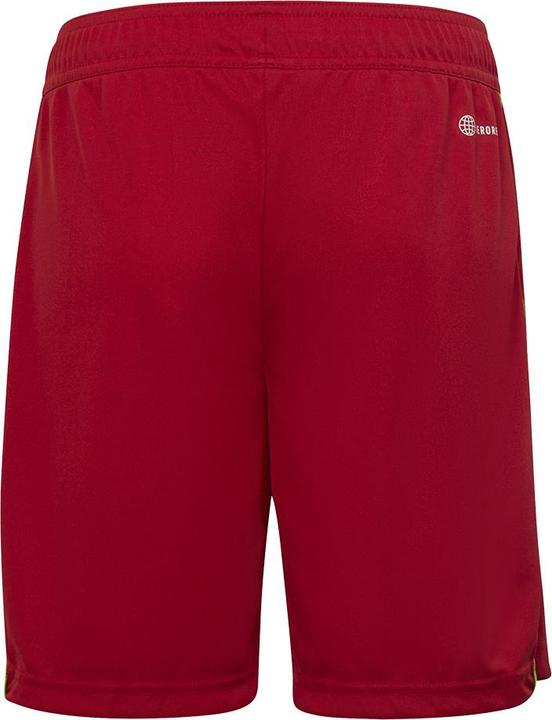 adidas Tiro 23 League Shorts (176)