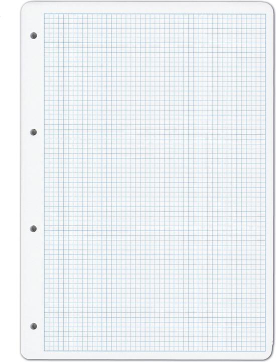 Elco Inserts pour classeurs à anneaux