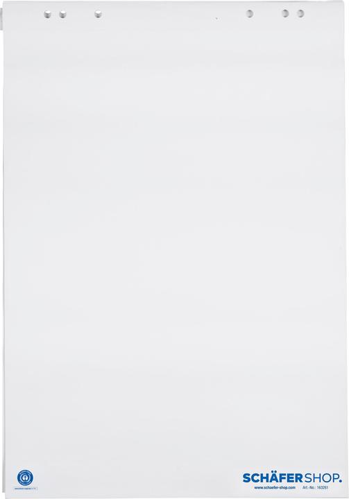 Produktbild Schäfer Shop Flipchart-Block mit Recyclingpapier, kariert oder blanko, B 650 x H 980 mm, 5 Stück à 20 Blatt
