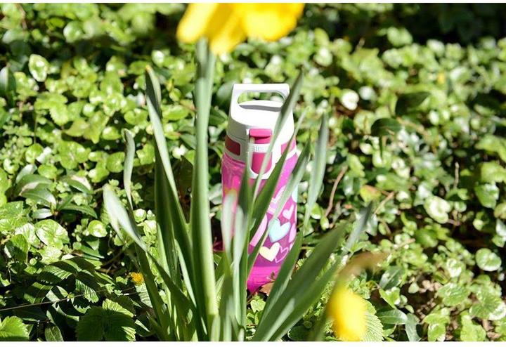 Productafbeelding Sigg Viva One (0.50 l)