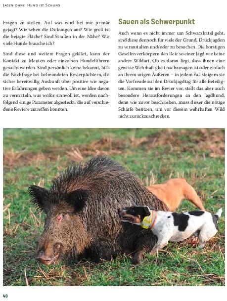 Actual product image Drückjagd (German, Peter Diekmann, 2021)