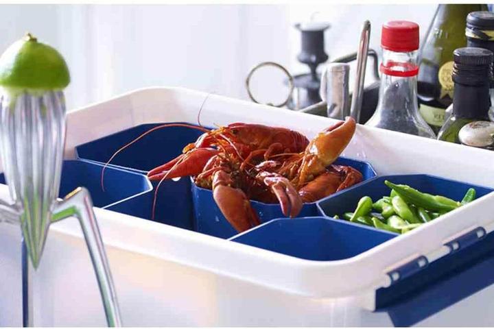 Actual product image Orthex Professional box (50 x 39 x 26 cm, 32 l)