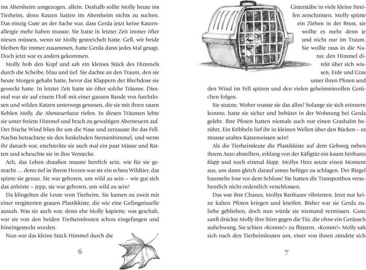 Immagine prodotto Ab heute wird's wild und gefährlich (Tedesco, Martina Baumbach, 2017)