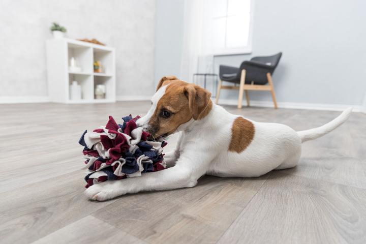 Image du produit Trixie Balle à renifler (Jouet intelligent chien)