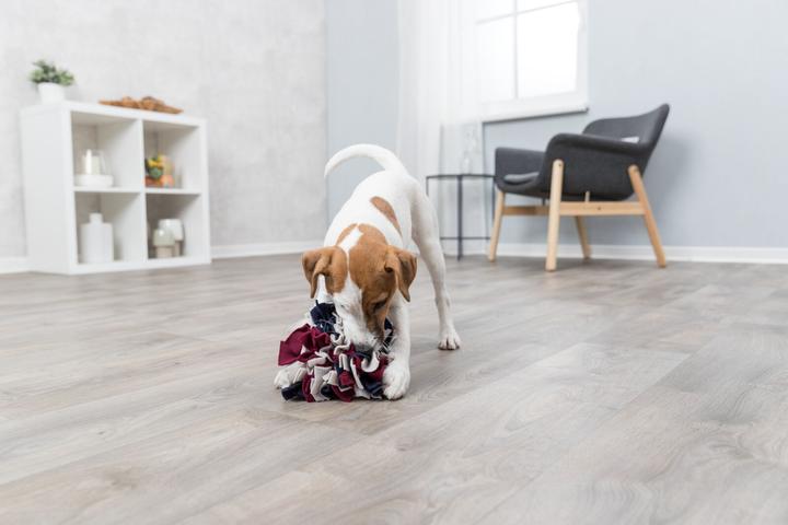 Image du produit Trixie Balle à renifler (Jouet intelligent chien)