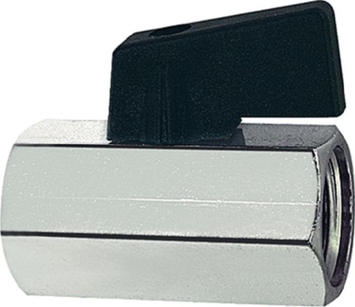 Actual product image Riegler Mini ball valve 13.16 mm G 1/4 ″ internal/internal thread