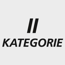 Produktbild Stronghand Kälteschutzhandschuhe Rasmussen Grösse 9 orange/schwarz EN 388, EN 511 PSA-Kategorie II (9)