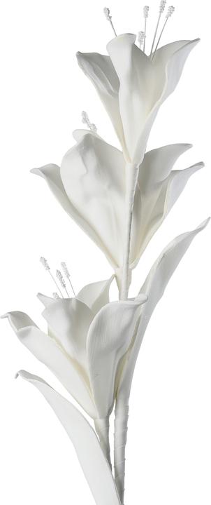 Immagine prodotto EGLO LIVING Molave (85 cm)