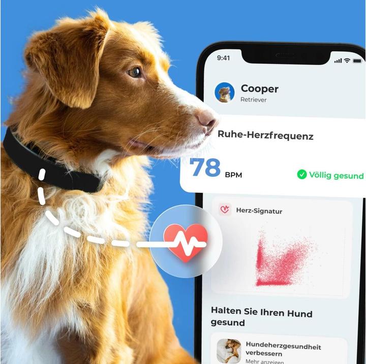 Produktbild Invoxia Smart Dog Collar taille S (Hund)