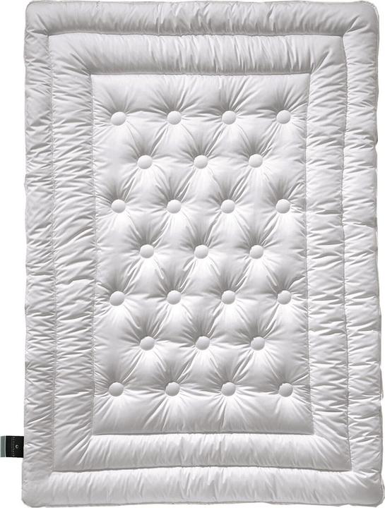 Actual product image Billerbeck 342 BRILLIANT (2000 g, 155 x 220 cm)