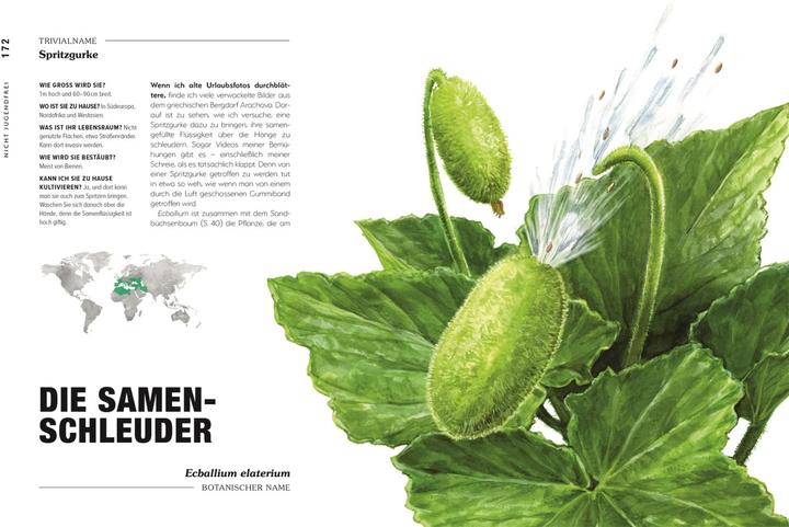 Produktbild Kuriose Pflanzen (Deutsch, Michael Perry, Reinhard Ferstl, DK Verlag, 2023)