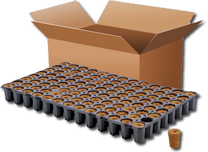 Actual product image HGA Cultivation cube CT104C