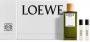 Produktbild Loewe ESENCIA EDP SPRAY 100 ML NAV23 SETS (Eau de Parfum, 100 ml)