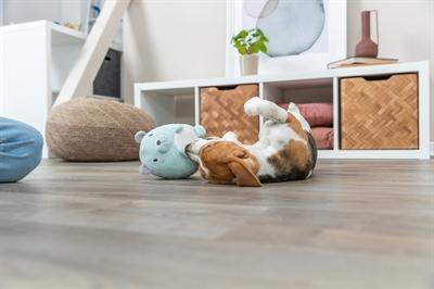 Produktbild Trixie Pluche Beer Mintgroen Voor Puppy (Plüschspielzeug Hund)