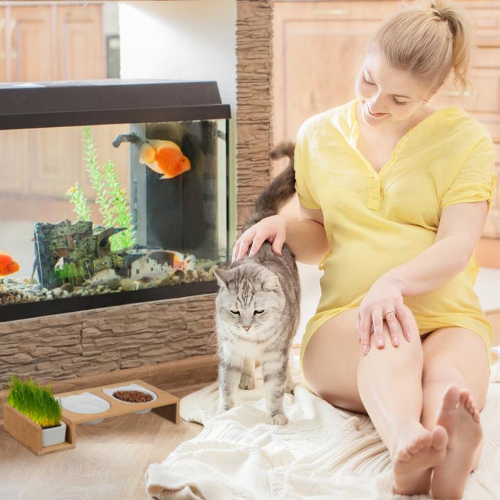 Produktbild Relaxdays Katzen-Futterstation (0.40 l)