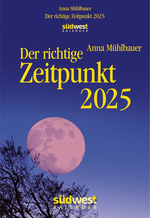 Actual product image The right time 2025 - daily tear-off calendar to put up or hang up (12 x 17 cm, German)