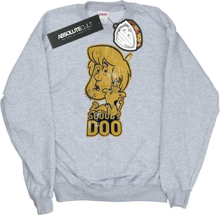 Produktbild Scooby Doo And Shaggy Sweatshirt (XL)