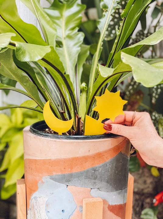 Produktbild Classy Casita Pflanzen Insektenfalle Klebefallen Vorteilspaket 24 Stk.
