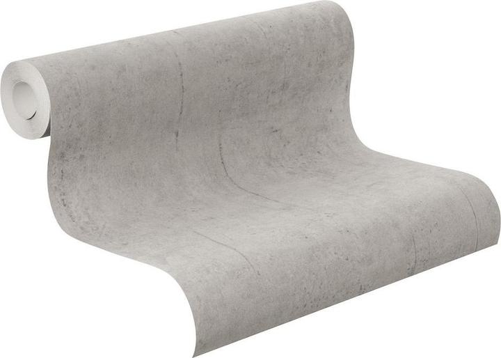 Rasch Aspect béton Factory II Surface de béton grise (53 x 1040 cm)