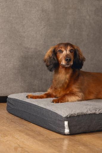 Produktbild Beeztees Zira (Hund)